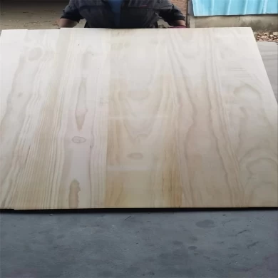 radiata pine wood for the coffins and caskets panel factory