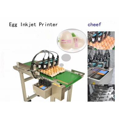 China factory high speed label coding machine printing bar and qr code on eggs