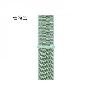 CBHW28 tkana nylonowa opaska na zegarek dla Huawei Watch GT