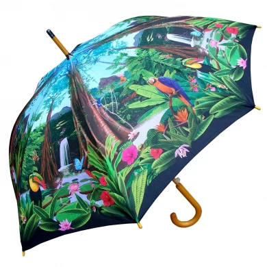 Gebogener Holzgriff 23inch * 8K und Holzschaft-schöner Entwurfs-Geschenk-Regenschirm