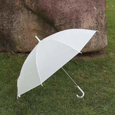 Transparent Umbrella with Printing for Promotion