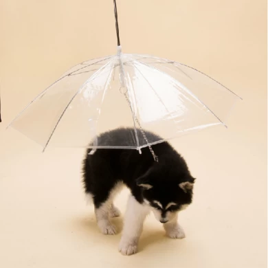 parasol soleil chien