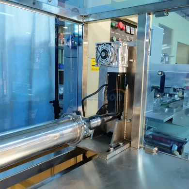 Prix ​​d'usine horizontale automatique 20g 50g 100g mélasse narguilé Shisha poche Sachet machine de conditionnement de remplissage