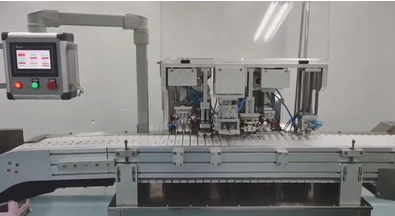 Automatic Shell Packing Machine