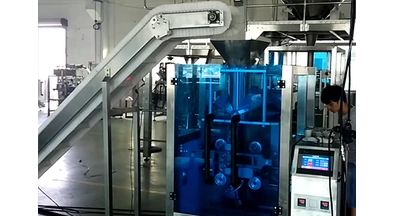 Chicken Legs Automatic Material Belt Packing Machine