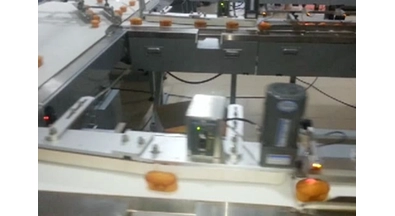 Kale pasta otomatik malzeme satırı