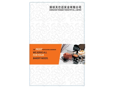 Electronic book