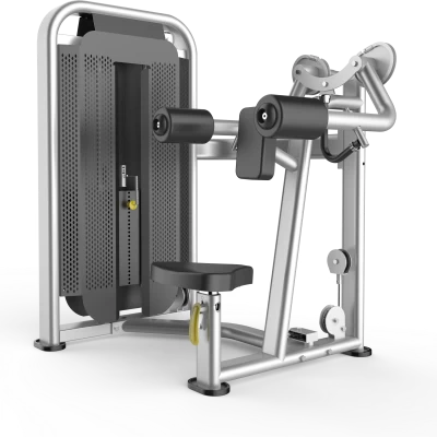 Lateral raise gym equipment from China manufacturer