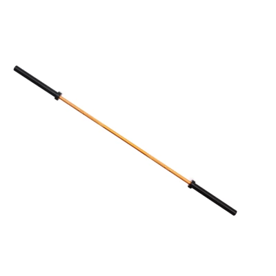 20kg Fitness Powerlifting Colorful Cerakote Weightlifting Barbell Bar China Factory