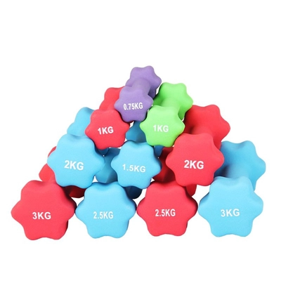 China Fitness flor em forma de Neoprene Dip Senhoras e crianças Dumbbell aeróbio fornecedor de conjunto de pares