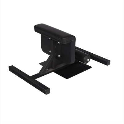 Wholesale fitness gym equipment sissy squat benches sit up machine