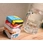 China magic compressed towel manufacturer