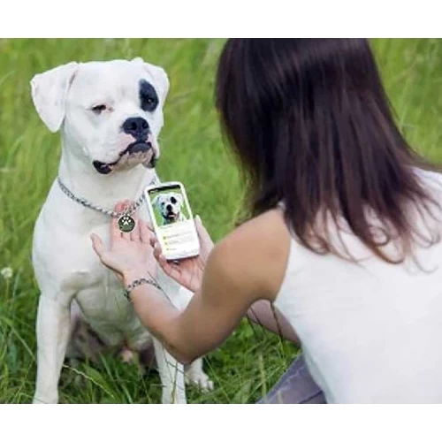 NFC ペット タグは行方不明のペット情報をデジタル化してレスキューを迅速化