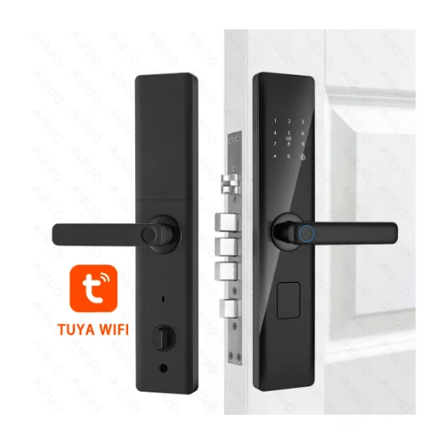 Aisuo Face Recognition Handle Intelligent Electronic Magnetic Security ...