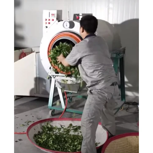 How To Make Green Tea?