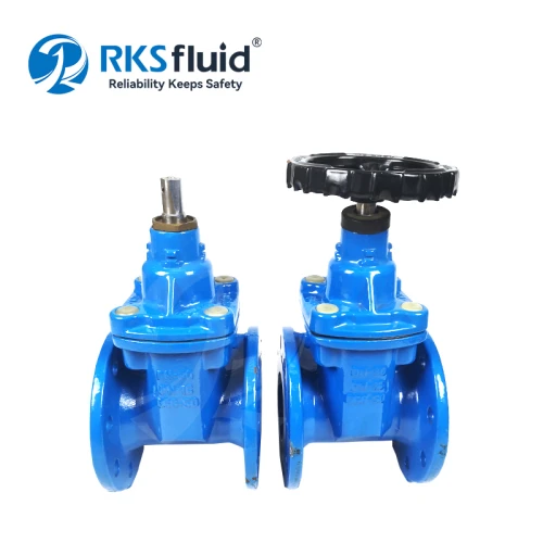 China Factory Supply BS5163 Non-Rising Stem DN80 DN100 Resilient Seated Flange Ductile Iron Gate Valve PN16 manufacturer
