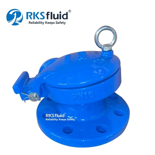 Válvula de aba de flange HDPE de ferro dúctil OEM EN1092-2 DN80 DN100 personalizada por atacado