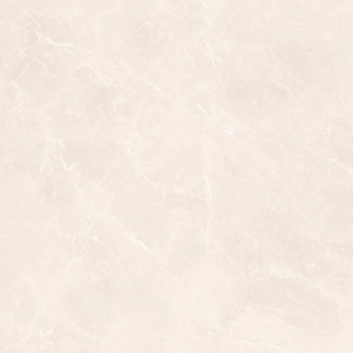 China BONE manufacturer