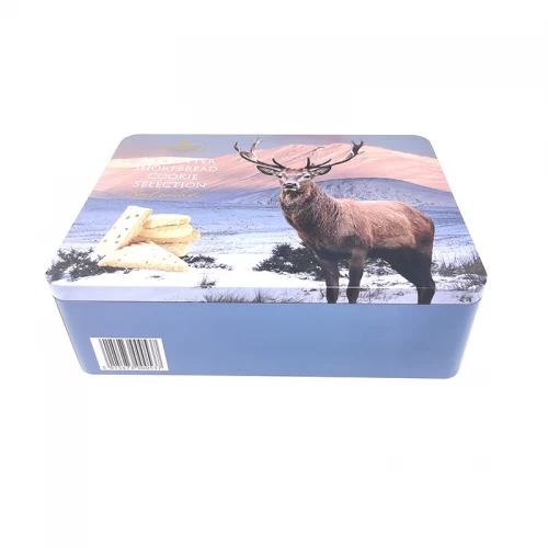 Wholesale Custom 200g Cookie Tin Box