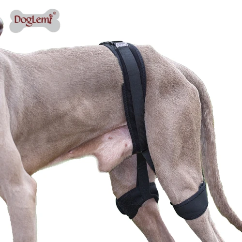 Dog leg fracture fixed protective gear dog front and rear leg bracket ...