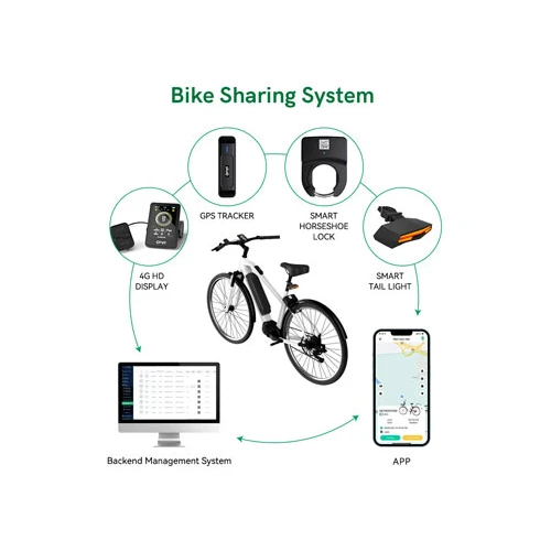 Bike Sharing System Promotes Green Travel and Urban Traffic Integration ...