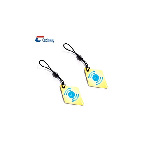 Customize Popular 13.56Mhz NFC Epoxy Tag Key Tag
