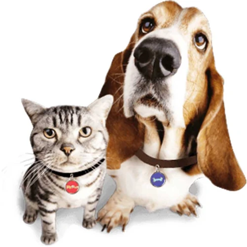 Groothandel programmeerbare NFC-dogtag met unieke QR-code en ander ID-nummer voor identificatie van huisdieren