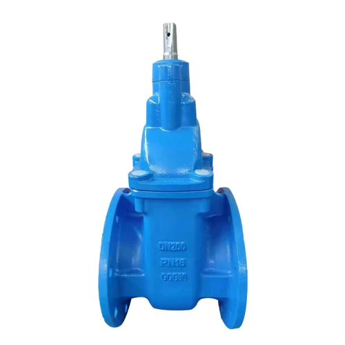 PN10 PN16 GGG50 Ductile Cast Iron Gate Valve BS5163 วาล์วประตูโลหะนั่งสำหรับการบำบัดน้ำ