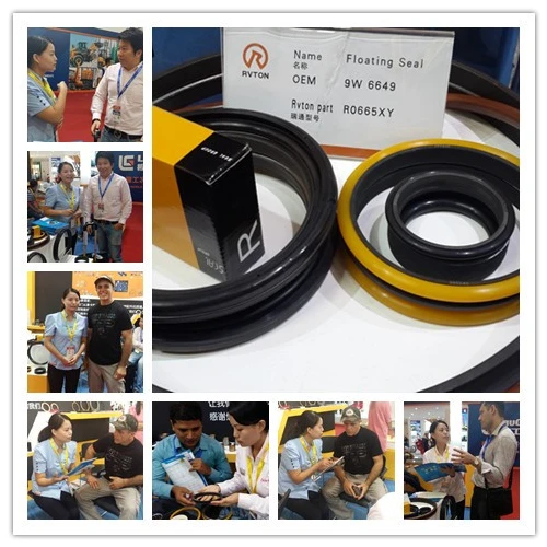 Cina Parti di ricambio di macchine Hyundai di Sumitomo Doosan JCB Dressta Floating sigilli del produttore produttore