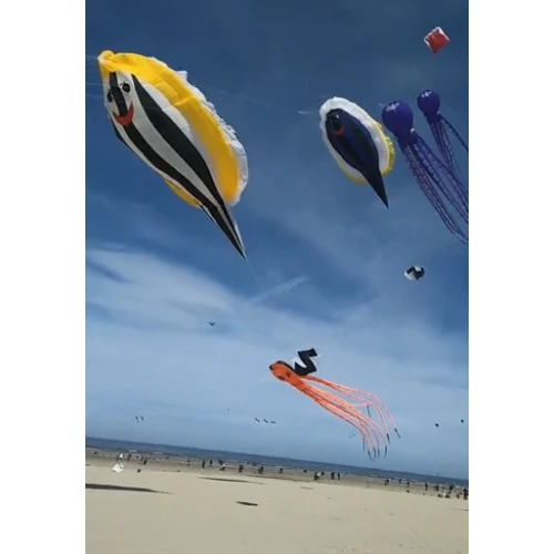 inflatable kite