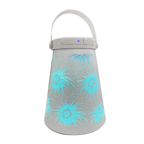 China Outdoor RGB Light Speaker manufacturer