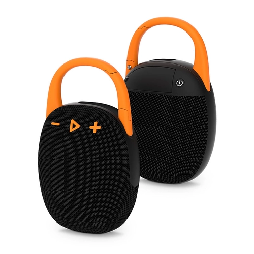 Chine Mini haut-parleur portable NSP-0499 fabricant