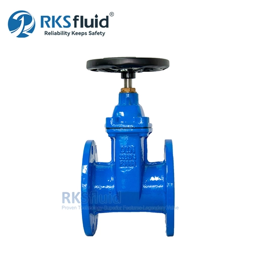 China DIN F4 Sphäroguss DN80 DN100 elastischer Flanschschieber PN16 für Wasser Hersteller