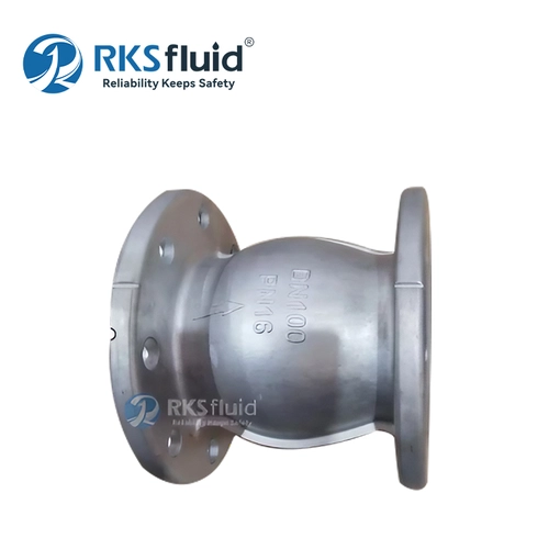 China DN100 Edelstahl SS304 Flanschdüsen-Rückschlagventil PN16 für Abwasserpumpe Hersteller