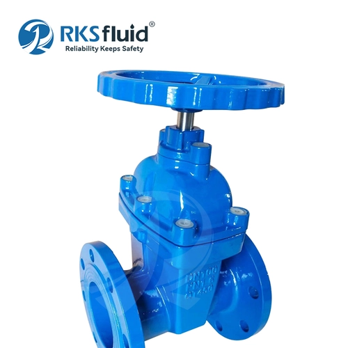 OEM ที่กำหนดเองขายส่งวาล์วน้ำ PN10 เหล็กหล่อ 4 นิ้ว Soft Seal Flanged Gate Valve DN100 DN200