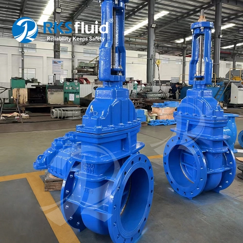 Chine BS5163 DN250 150mm 300mm fonte ductile à bride OS&Y vanne prix PN16 personnalisé fabricant