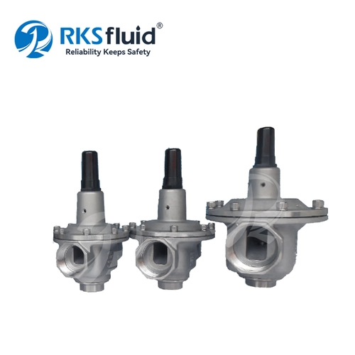 NPT pure water DN32 DN50 direct acting CF8 stainless steel ss316 pressure reducing valve customized