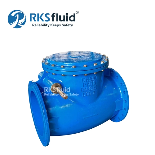 Swing check valve
