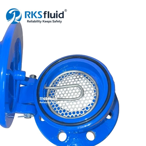 RKS Ductile cast iron non return flap valve check valve