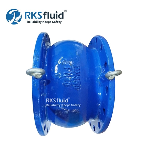 China RKSfluid DI Flanged Nozzle Check Valve DN350 PN16 for Water manufacturer