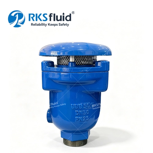 China NPT Male Ductile Iron Thread Three-Function Combination Air Valve DN50 PN25 for Water Pipeline Systems manufacturer