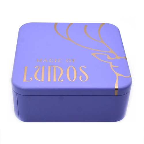 Boîte carrée imprimée par coutume de bidon de biscuit de chocolat de Noël avec l'insertion en plastique