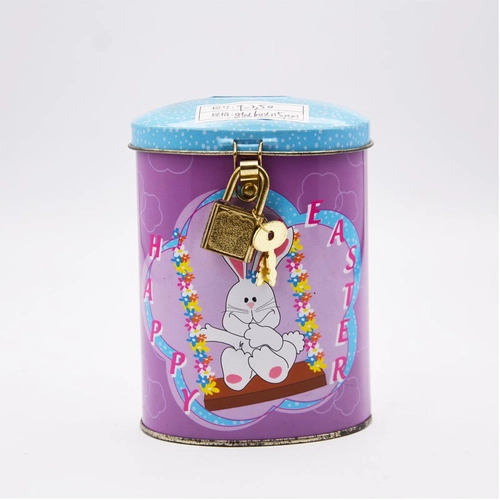 Custom Coin Money Bank Tin Box With Lock