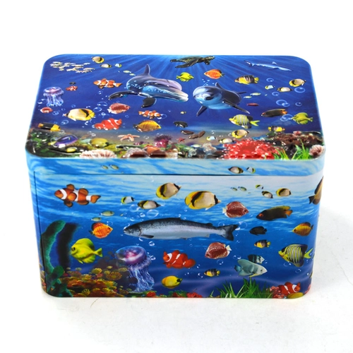 Custom Embossing Rectangular Tin Box