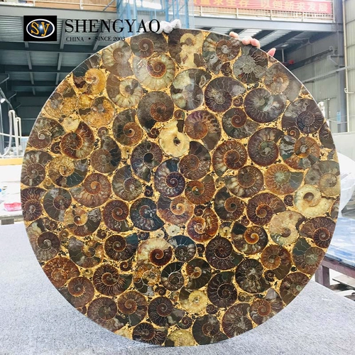Customized Conch Fossil Table Top, Round Semi Precious Stone Table Top