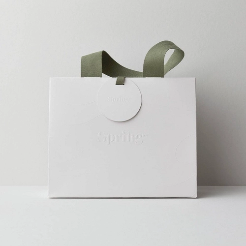 Nové příjezdy Shopping Paper Bag Fancy Paper Bag s bavlněnou stuhou rukojeti a značkou uprostřed