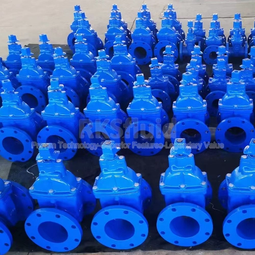 RKSfluid中国BS5163栅极铸铁金属座椅阀门发电站