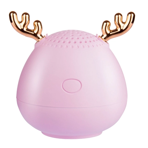Mini Wireless Speaker