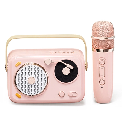 Portable Microphone Speaker