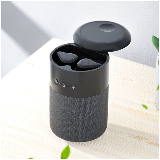 2-in-1-Wireless-Lautsprecher mit TWS-Kopfhörer NSP-0248